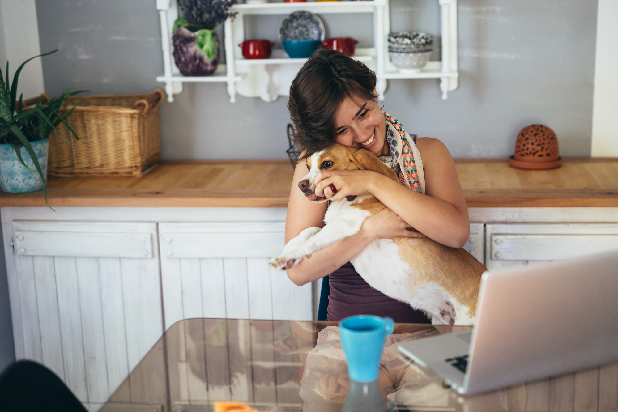 acompanamiento-online-perros